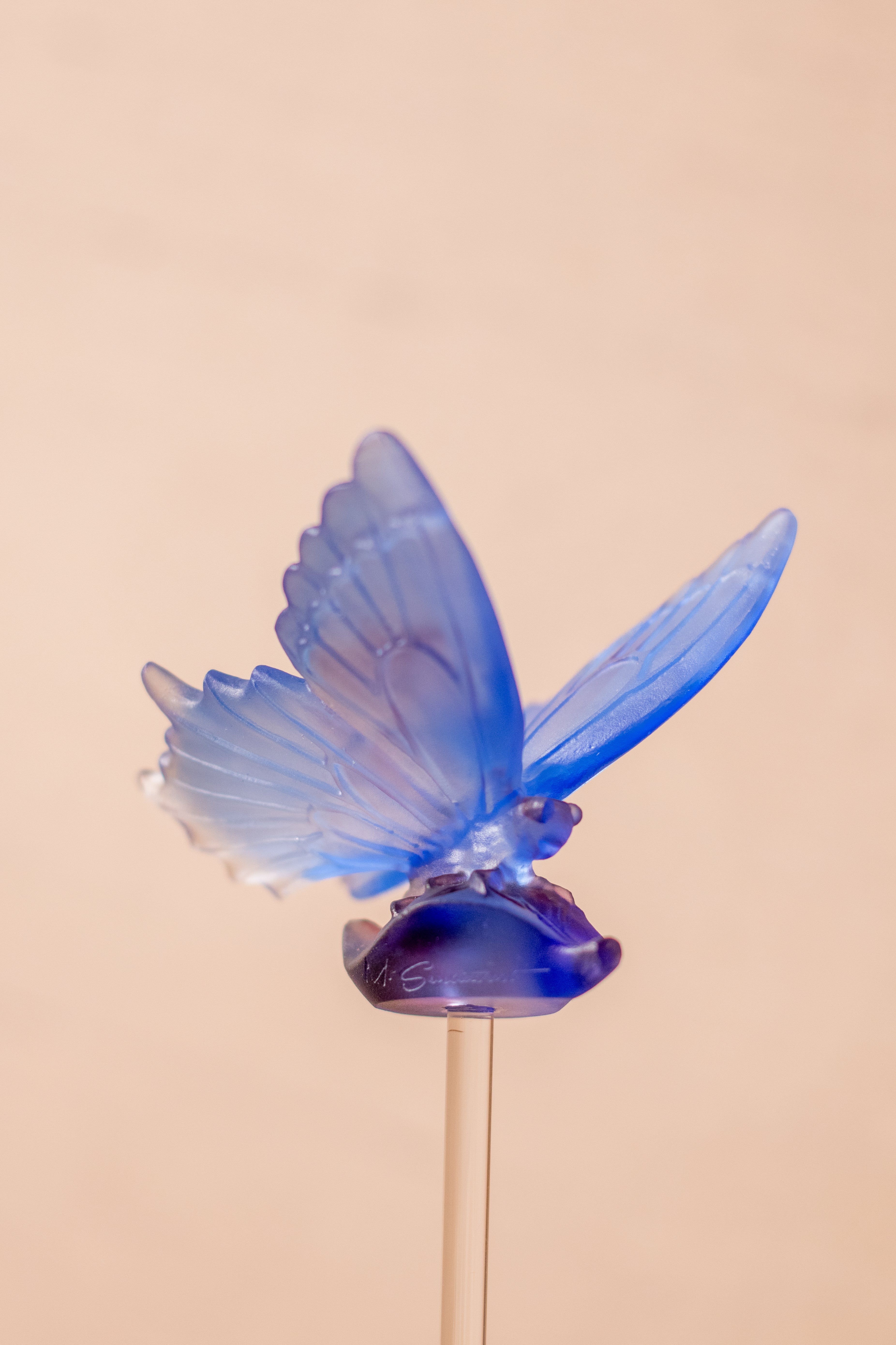 Butterfly Crystal Stick (Merwad)