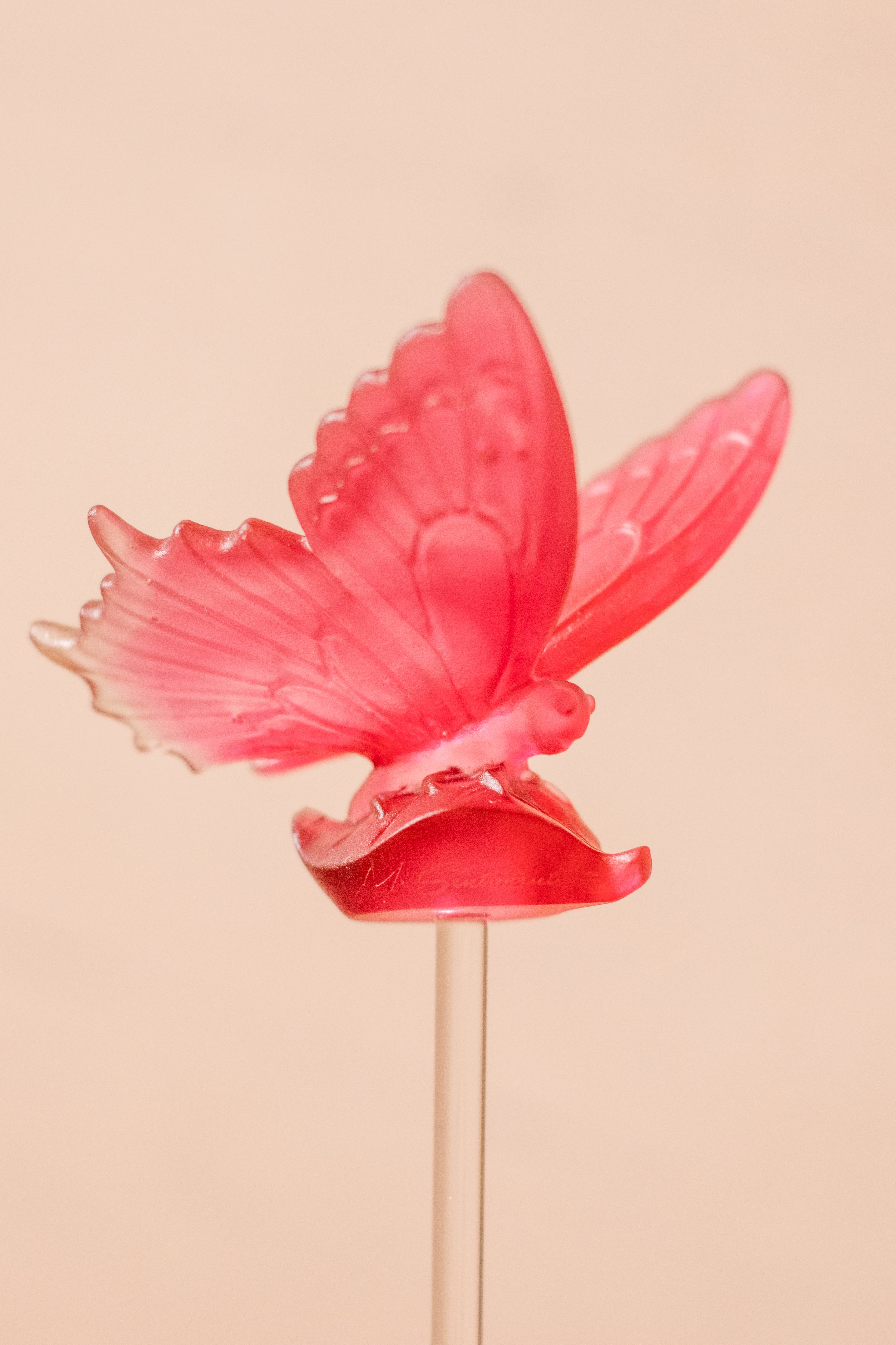 Butterfly Crystal Stick (Merwad)