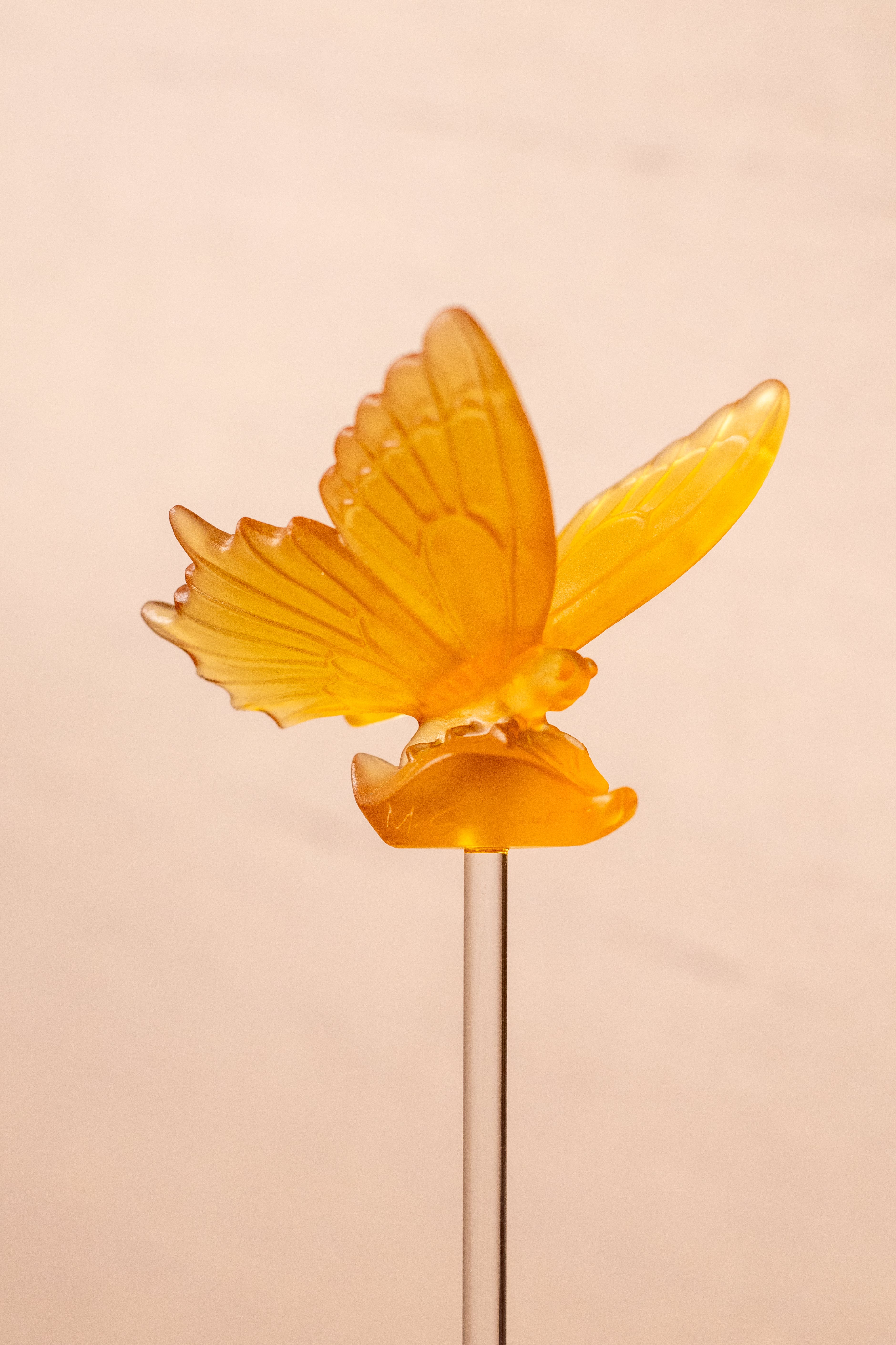 Butterfly Crystal Stick (Merwad)