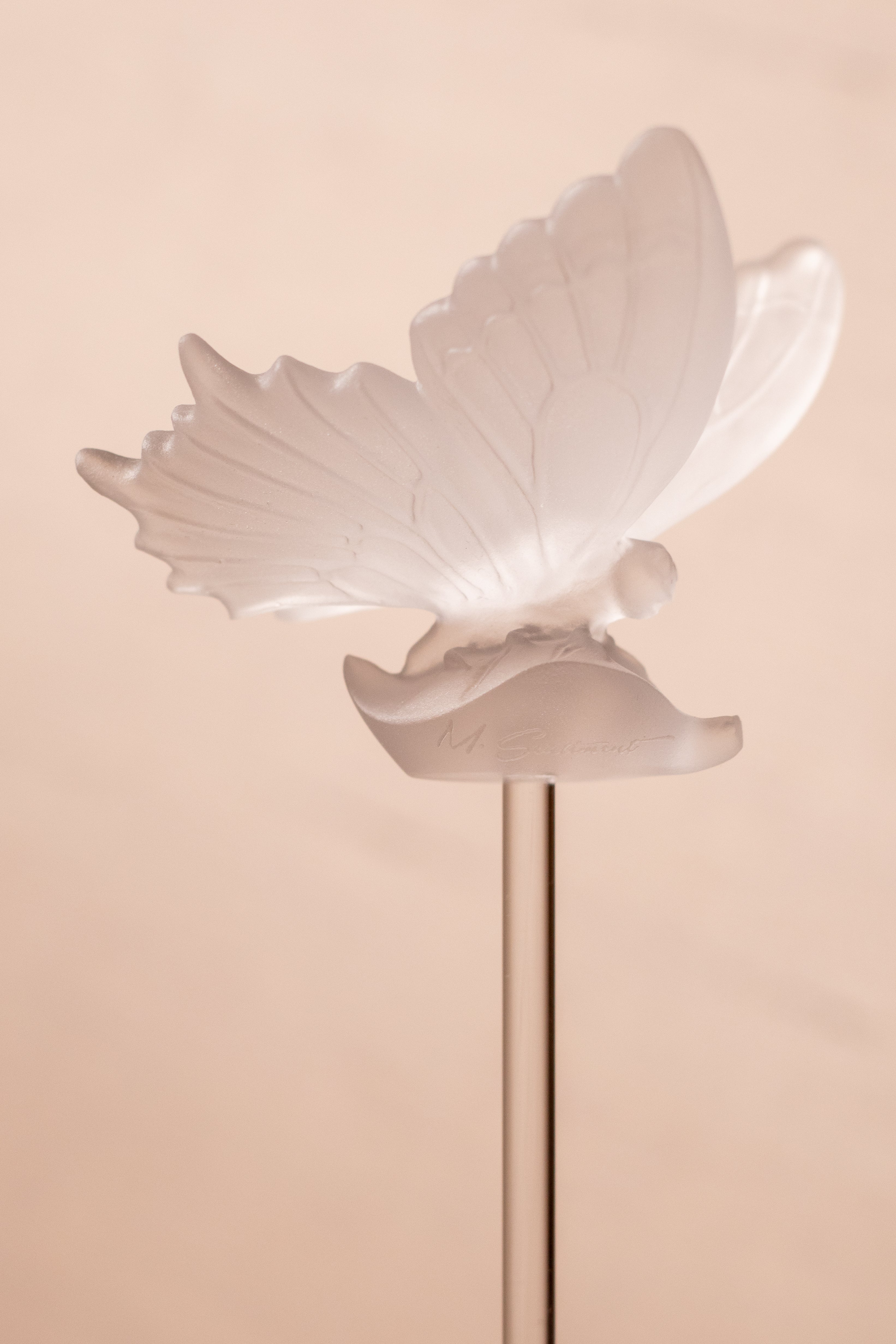 Butterfly Crystal Stick (Merwad)