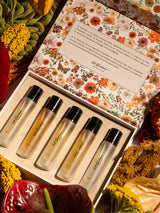 Five Journeys Set