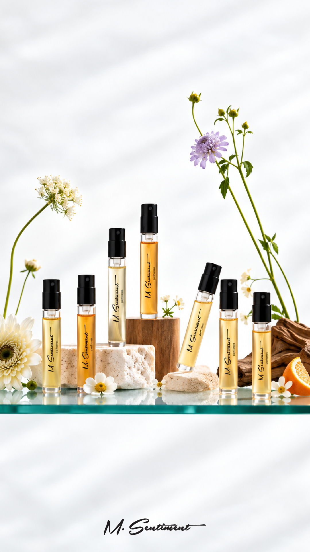 DISCOVERY SET