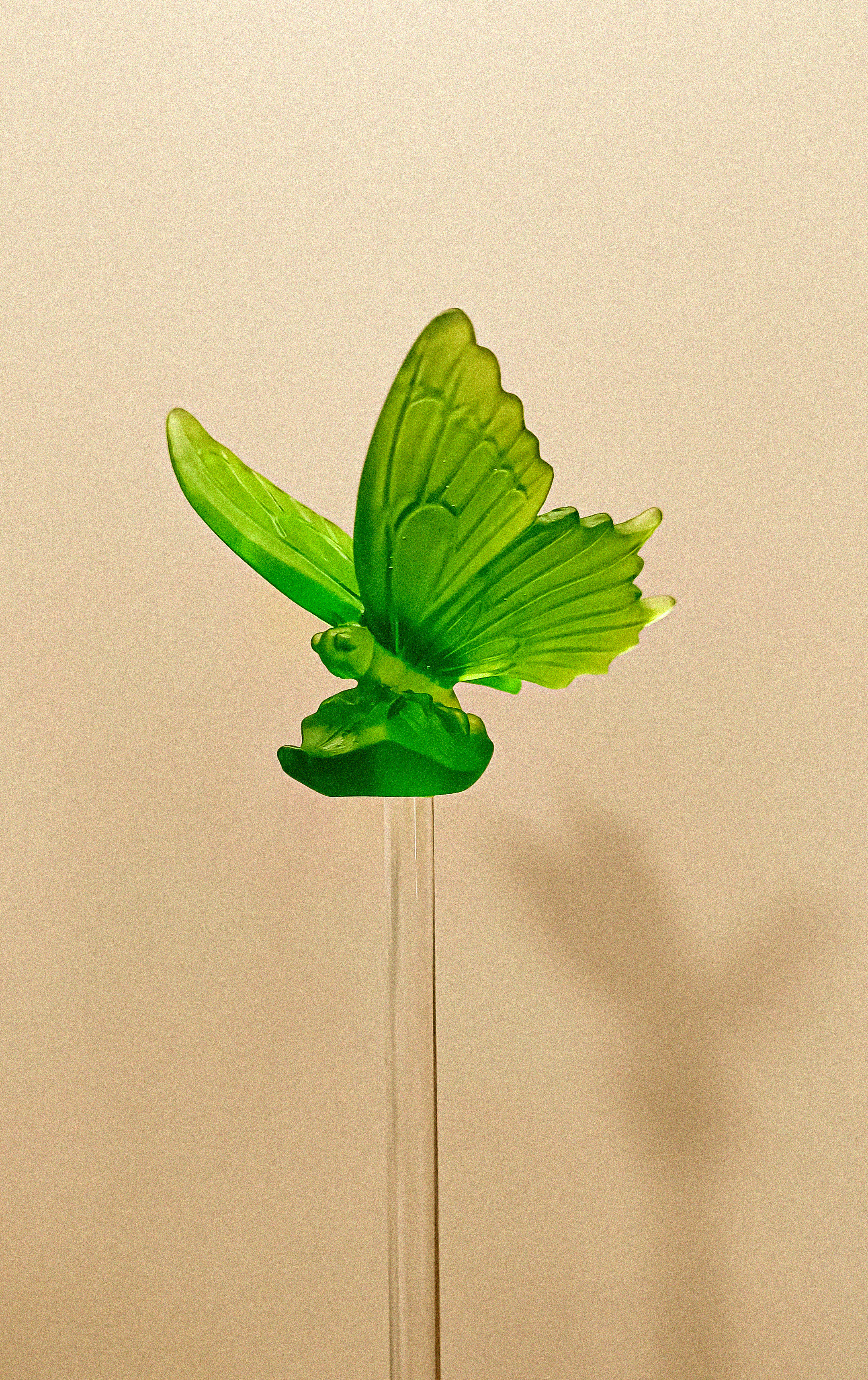 Butterfly Crystal Stick (Merwad)