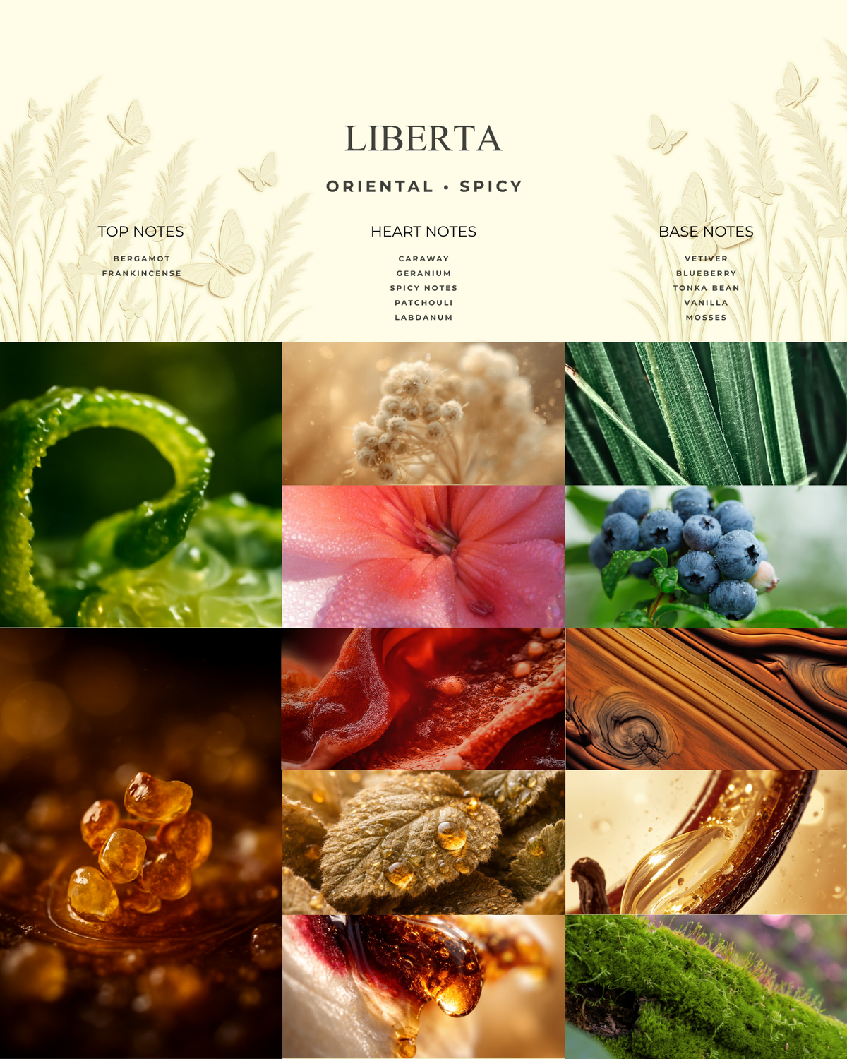 LIBERTA (PERFUME)