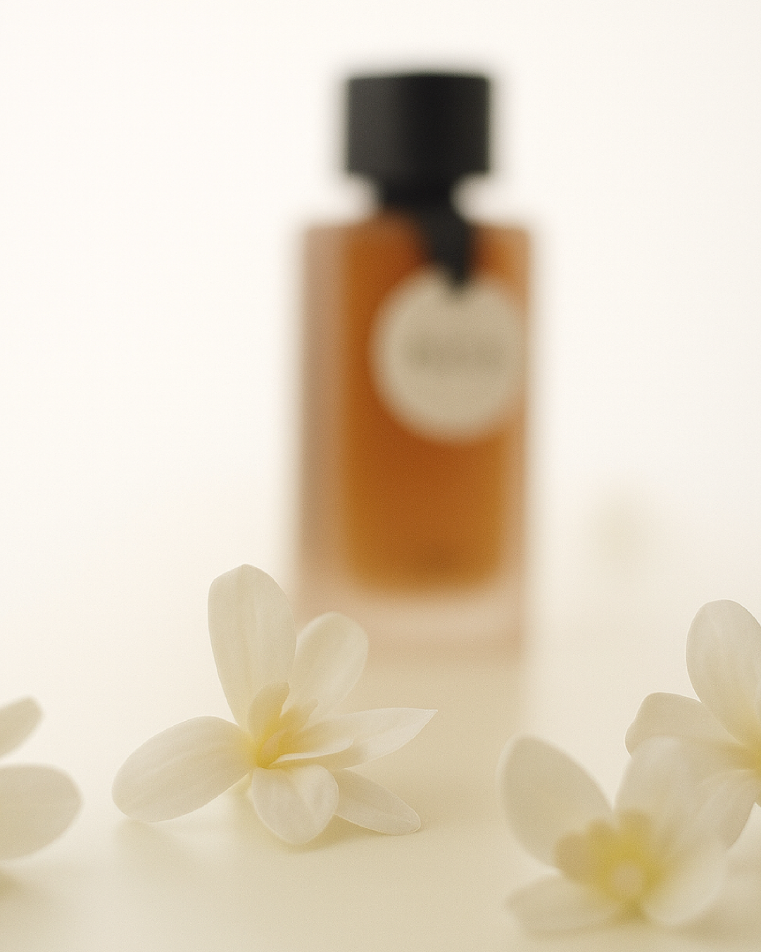 ELEGANZA (100ML PERFUME)