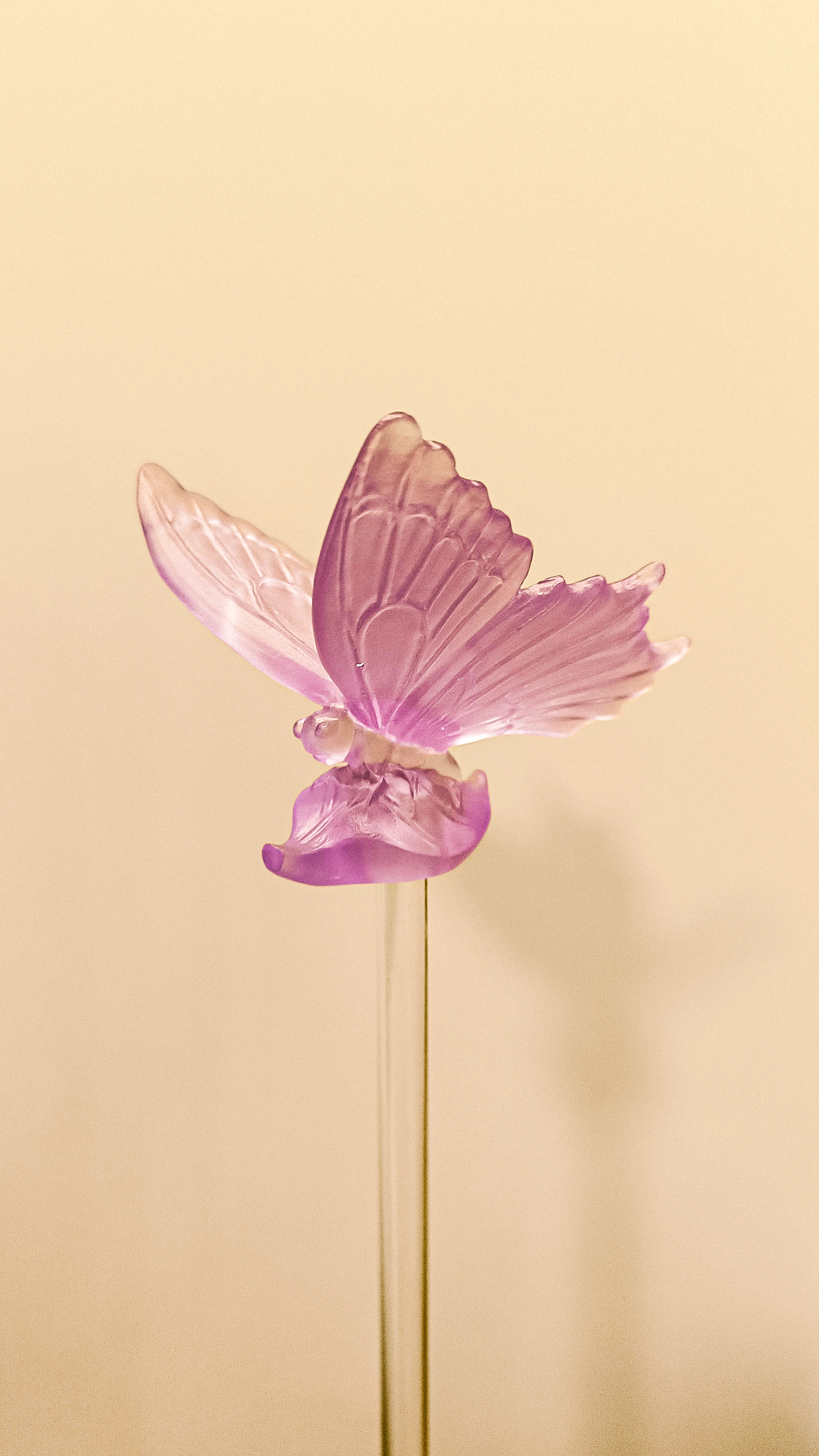 Butterfly Crystal Stick (Merwad)