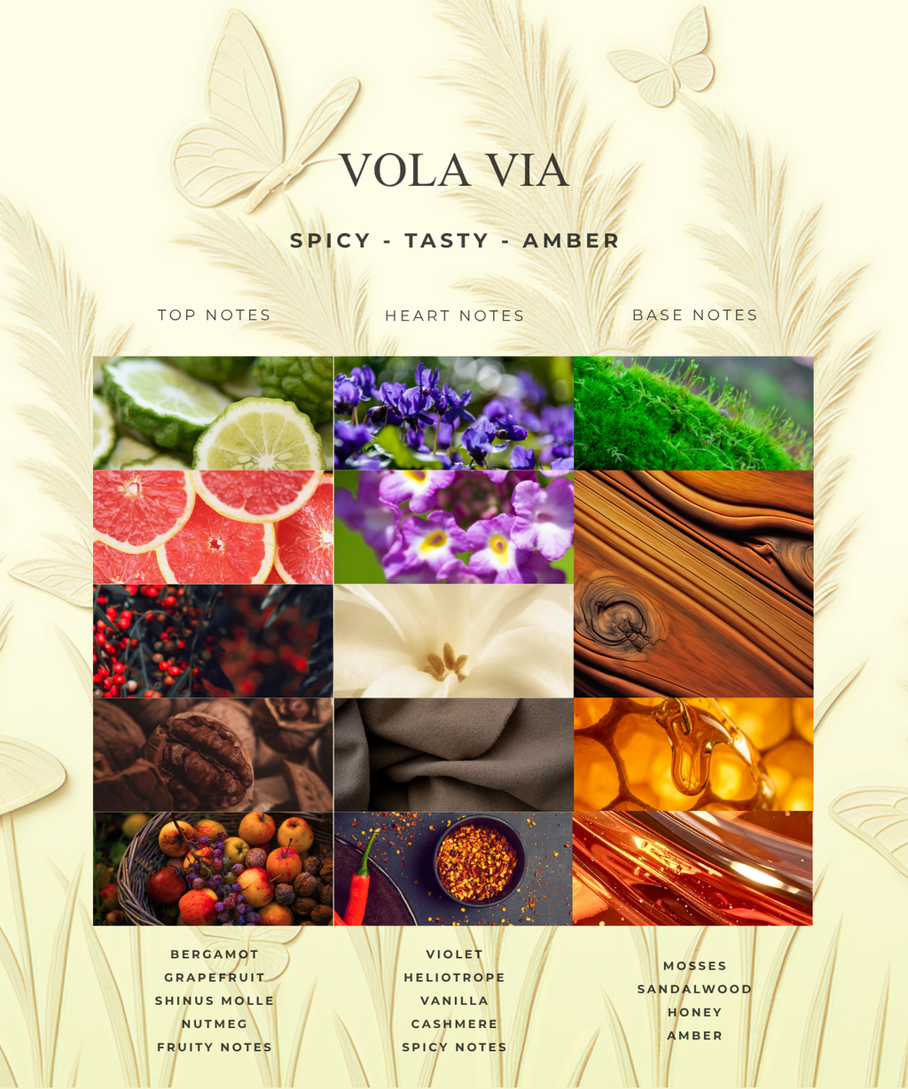 VOLA VIA (HAIRMIST)